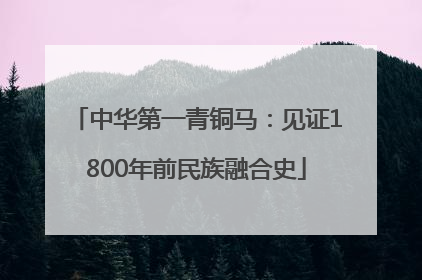 中华第一青铜马：见证1800年前民族融合史
