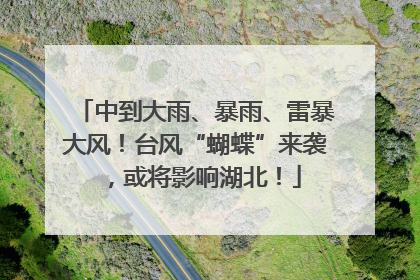 中到大雨、暴雨、雷暴大风！台风“蝴蝶”来袭，或将影响湖北！
