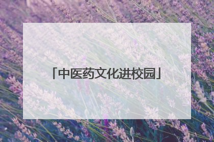 中医药文化进校园