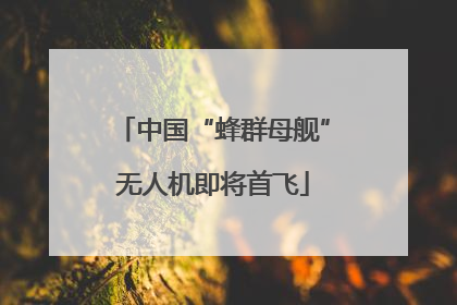 中国“蜂群母舰”无人机即将首飞