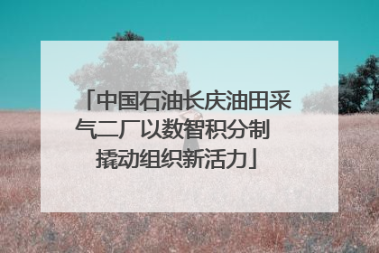 中国石油长庆油田采气二厂以数智积分制 撬动组织新活力