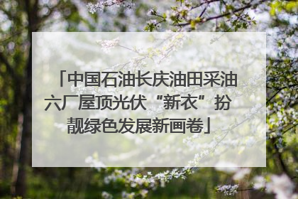 中国石油长庆油田采油六厂屋顶光伏“新衣”扮靓绿色发展新画卷