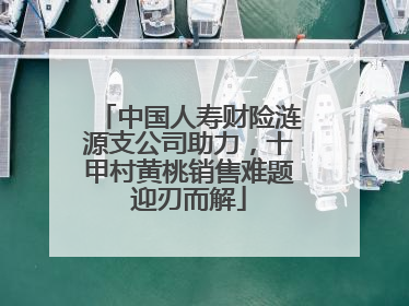 中国人寿财险涟源支公司助力，十甲村黄桃销售难题迎刃而解