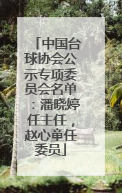 中国台球协会公示专项委员会名单：潘晓婷任主任，赵心童任委员