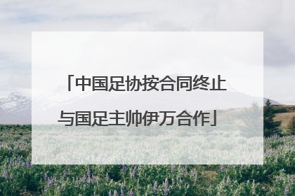 中国足协按合同终止与国足主帅伊万合作