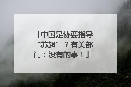 中国足协要指导“苏超”？有关部门：没有的事！