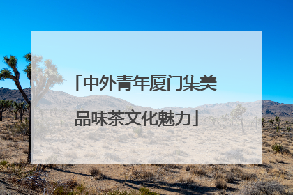 中外青年厦门集美品味茶文化魅力