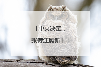 中央决定，张传江履新
