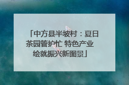 中方县半坡村：夏日茶园管护忙 特色产业绘就振兴新图景