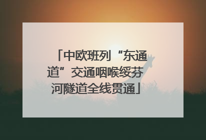 中欧班列“东通道”交通咽喉绥芬河隧道全线贯通