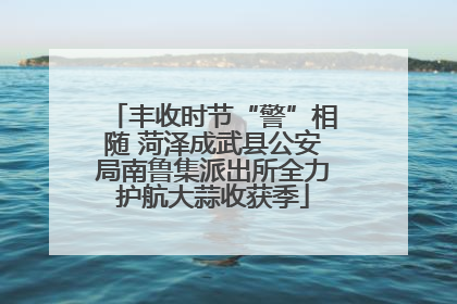 丰收时节“警”相随 菏泽成武县公安局南鲁集派出所全力护航大蒜收获季