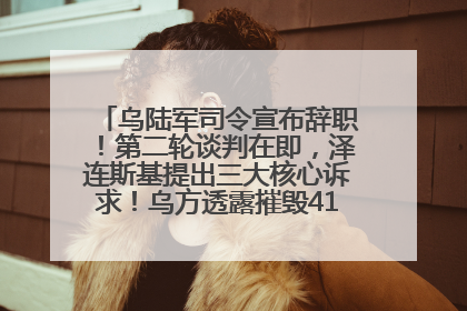 乌陆军司令宣布辞职！第二轮谈判在即，泽连斯基提出三大核心诉求！乌方透露摧毁41架俄战略轰炸机