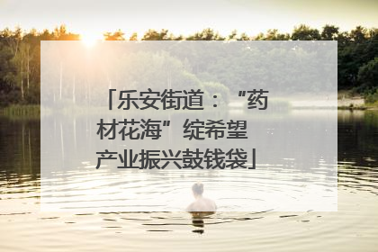 乐安街道：“药材花海”绽希望 产业振兴鼓钱袋