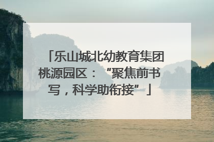 乐山城北幼教育集团桃源园区：“聚焦前书写，科学助衔接”