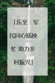 乐至：军民同心插秧忙 助力乡村振兴