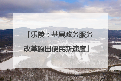 乐陵：基层政务服务改革跑出便民新速度