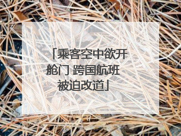 乘客空中欲开舱门 跨国航班被迫改道