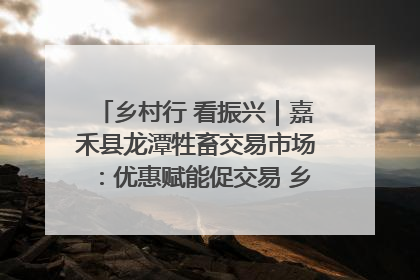 乡村行 看振兴｜嘉禾县龙潭牲畜交易市场：优惠赋能促交易 乡村振兴添动能
