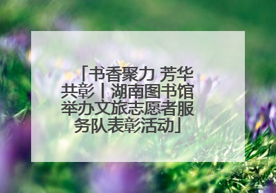 书香聚力 芳华共彰丨湖南图书馆举办文旅志愿者服务队表彰活动