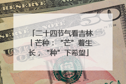 二十四节气看吉林丨芒种：“芒”着生长，“种”下希望