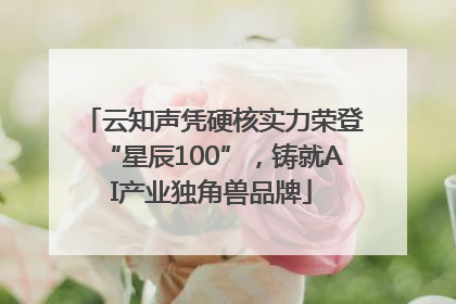 云知声凭硬核实力荣登“星辰100”，铸就AI产业独角兽品牌