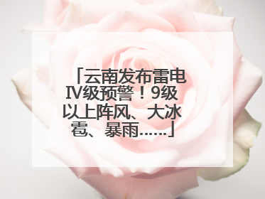 云南发布雷电Ⅳ级预警！9级以上阵风、大冰雹、暴雨……