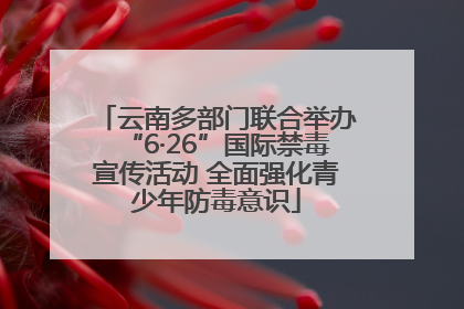 云南多部门联合举办“6·26”国际禁毒宣传活动 全面强化青少年防毒意识