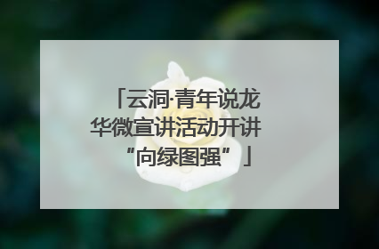 云洞·青年说龙华微宣讲活动开讲“向绿图强”