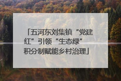 五河东刘集镇“党建红”引领“生态绿” 积分制赋能乡村治理