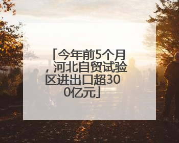 今年前5个月，河北自贸试验区进出口超300亿元