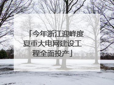 今年浙江迎峰度夏重大电网建设工程全面投产