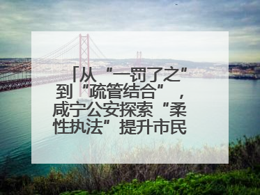 从“一罚了之”到“疏管结合”，咸宁公安探索“柔性执法”提升市民出行体验