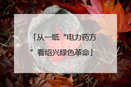 从一纸“电力药方”看绍兴绿色革命
