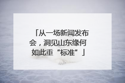 从一场新闻发布会，洞见山东缘何如此重“标准”