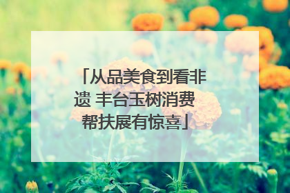 从品美食到看非遗 丰台玉树消费帮扶展有惊喜