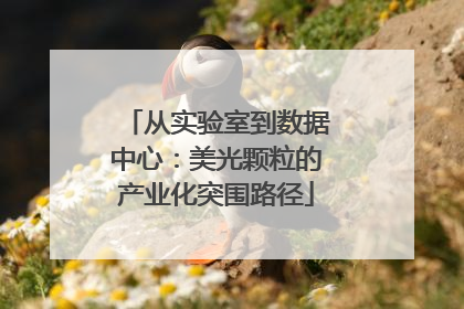 从实验室到数据中心：美光颗粒的产业化突围路径