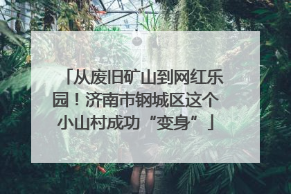 从废旧矿山到网红乐园！济南市钢城区这个小山村成功“变身”