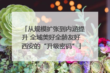 从规模扩张到内涵提升 全域美好全龄友好西安的“升级密码”