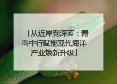 从近岸到深蓝：青岛中行赋能现代海洋产业焕新升级