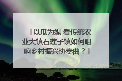 以瓜为媒 看传统农业大镇石莲子镇如何唱响乡村振兴协奏曲？