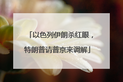 以色列伊朗杀红眼，特朗普请普京来调解