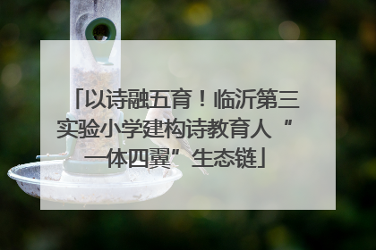 以诗融五育！临沂第三实验小学建构诗教育人“一体四翼”生态链