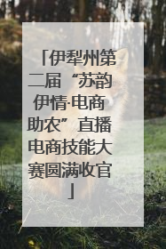 伊犁州第二届“苏韵伊情·电商助农”直播电商技能大赛圆满收官