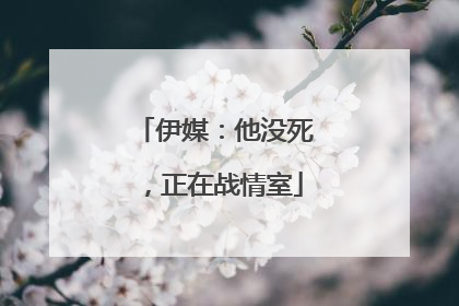 伊媒：他没死，正在战情室