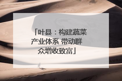 叶县：构建蔬菜产业体系 带动群众增收致富