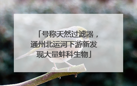 号称天然过滤器，通州北运河下游新发现大量蚌科生物