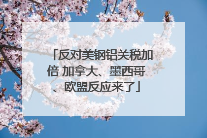 反对美钢铝关税加倍 加拿大、墨西哥、欧盟反应来了