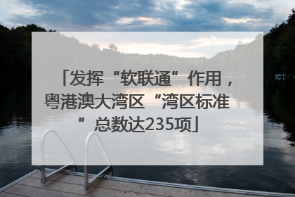 发挥“软联通”作用，粤港澳大湾区“湾区标准”总数达235项