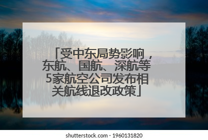 受中东局势影响，东航、国航、深航等5家航空公司发布相关航线退改政策