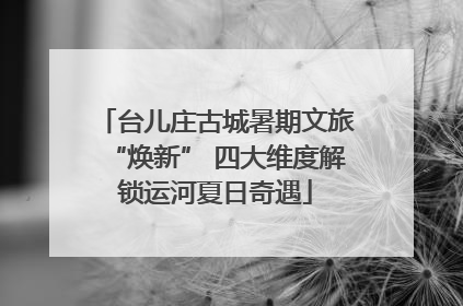 台儿庄古城暑期文旅“焕新” 四大维度解锁运河夏日奇遇